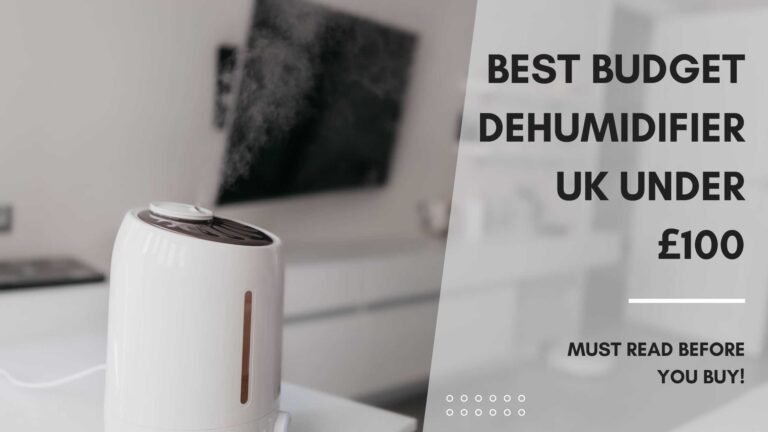 best budget dehumidifier uk under £100 