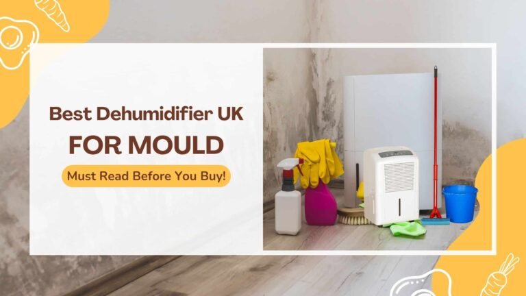 best dehumidifier uk for mould 